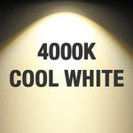 4 Inch Recessed LED Lighting, Slim, Single CCT, White Trim